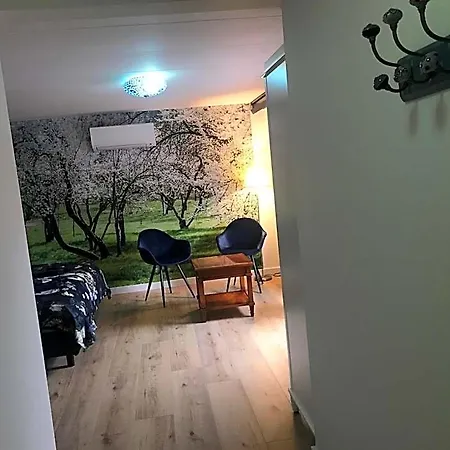 Cozy Bed & Breakfast 3*