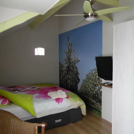 Bed & Breakfast Cozy Elst (Gelderland)