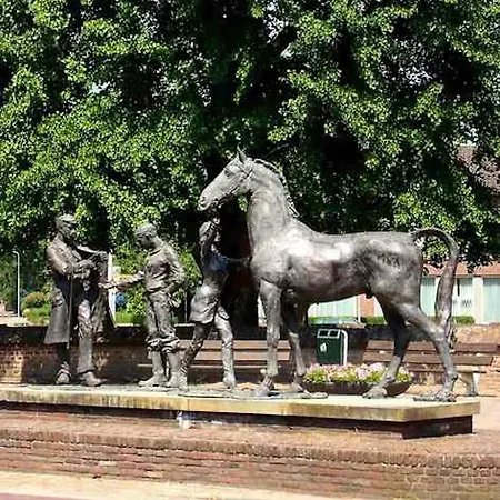 Cozy 4* Elst (Gelderland)